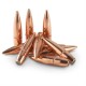 ADI 50 Cal 647gr FMJ IVI MATCH LOADED 5 pk