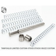 DPM Tanaglio Limited/Stock III Recoil Spring System