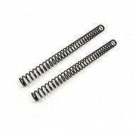 Ghost Complete Recoil Spring Kit 1911/2011 2pk