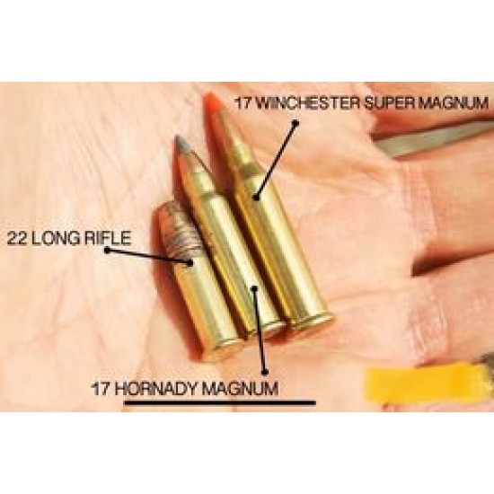 JARD J72 WINCHESTER CLEANING KIT .17 CAL