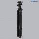 Leofoto LG-284C+LH-36R(Black) Wings of Gods Series Tripod 28mm 4 Section