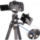 Leofoto LS-284C+LH30 Ranger Series Tripod 28mm 4 Section